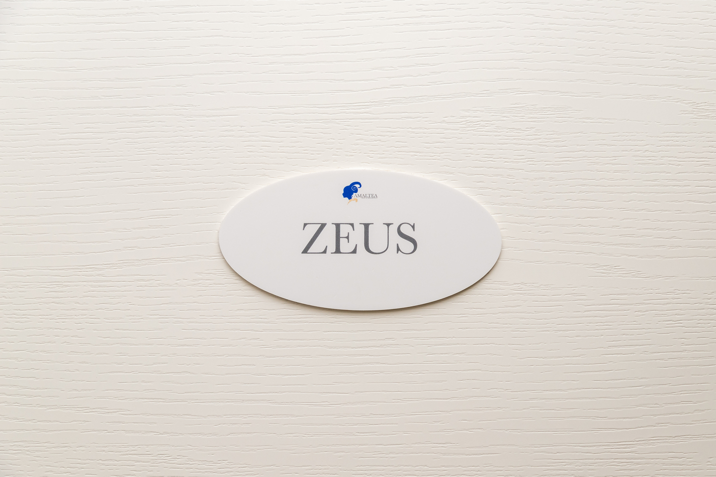 camera zeus